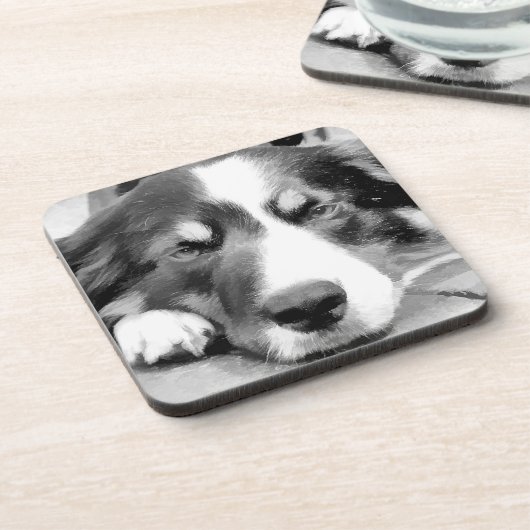 GRENSCOLLIE ONDERZETTER (Linkerzijde)