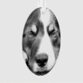 GRENSCOLLIE ORNAMENT (voorkant)