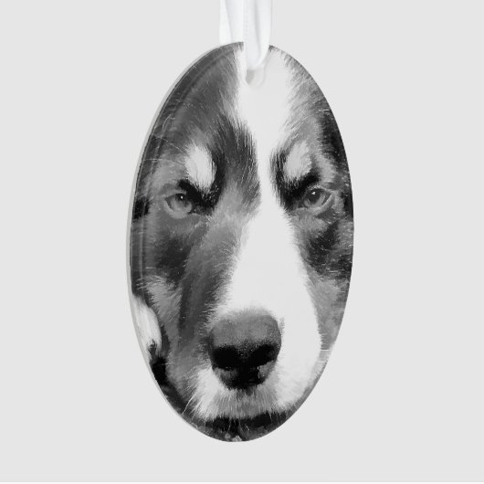 GRENSCOLLIE ORNAMENT (voorkant)