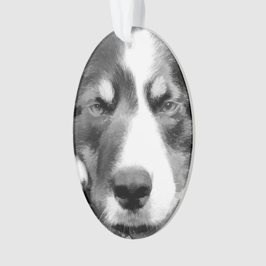 GRENSCOLLIE ORNAMENT (voorkant)