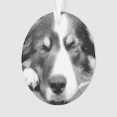 GRENSCOLLIE ORNAMENT (voorkant)