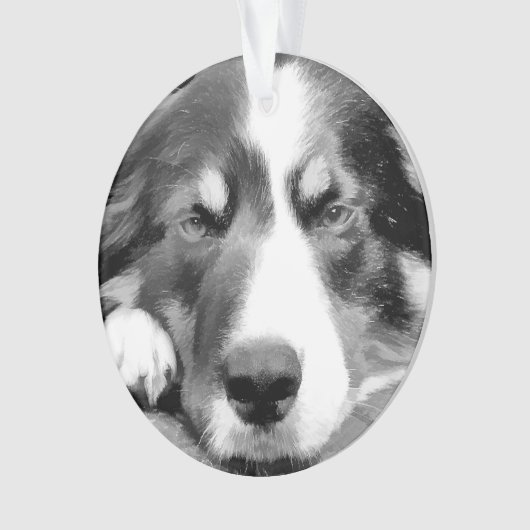 GRENSCOLLIE ORNAMENT (voorkant)