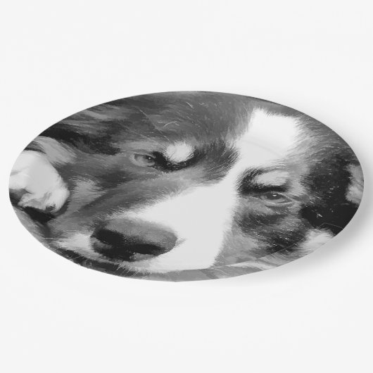 GRENSCOLLIE PAPIEREN BORDJE (Gekanteld)