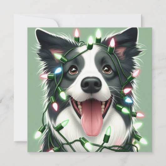 Grenscollie Plat Kerstkaart (Voorkant)