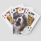 GRENSCOLLIE POKERKAARTEN (Achterkant)