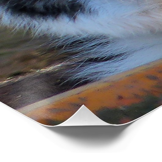 GRENSCOLLIE POSTER (Hoek)