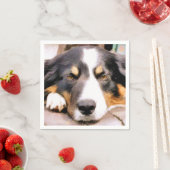 GRENSCOLLIE SERVETTEN (Insitu)