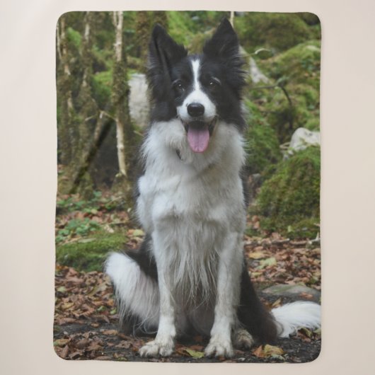 GRENSCOLLIE SHERPA DEKEN (Voorkant)