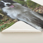 GRENSCOLLIE SHERPA DEKEN (3/4)