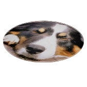 GRENSCOLLIE SNIJPLANK (Hoek)