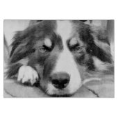 GRENSCOLLIE SNIJPLANK (Voorkant)