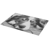 GRENSCOLLIE SNIJPLANK (Hoek)