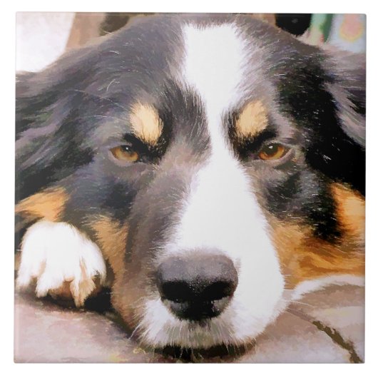 GRENSCOLLIE TEGELTJE (Voorkant)