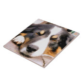 GRENSCOLLIE TEGELTJE (Zijkant)