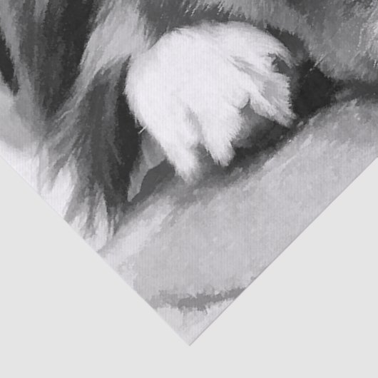 GRENSCOLLIE TISSUEPAPIER (Detail)