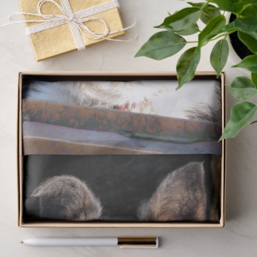 GRENSCOLLIE TISSUEPAPIER (Geschenk)