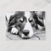 GRENSCOLLIE VISITEKAARTJE (Voorkant)