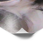 GRENSCOLLIES FOTO AFDRUK (Hoek)