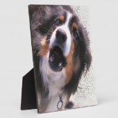 GRENSCOLLIES FOTOPLAAT (Zijkant)