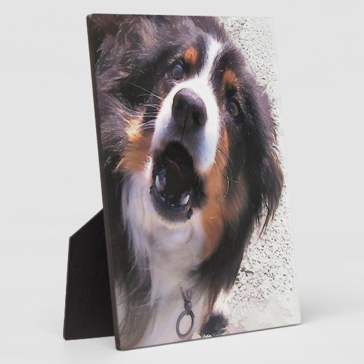 GRENSCOLLIES FOTOPLAAT (Zijkant)