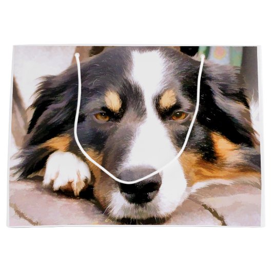 GRENSCOLLIES GROOT CADEAUZAKJE (Voorkant)