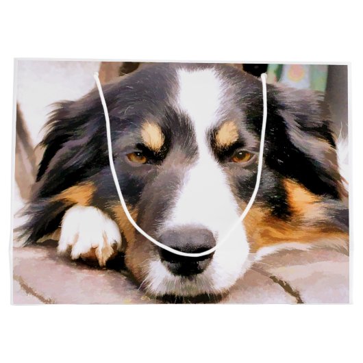 GRENSCOLLIES GROOT CADEAUZAKJE (Achterkant)