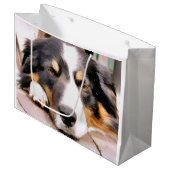 GRENSCOLLIES GROOT CADEAUZAKJE (Voorkant Gekanteld)