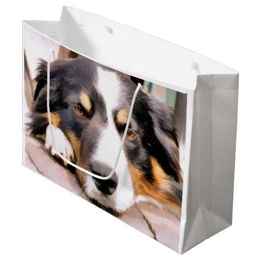 GRENSCOLLIES GROOT CADEAUZAKJE (Voorkant Gekanteld)