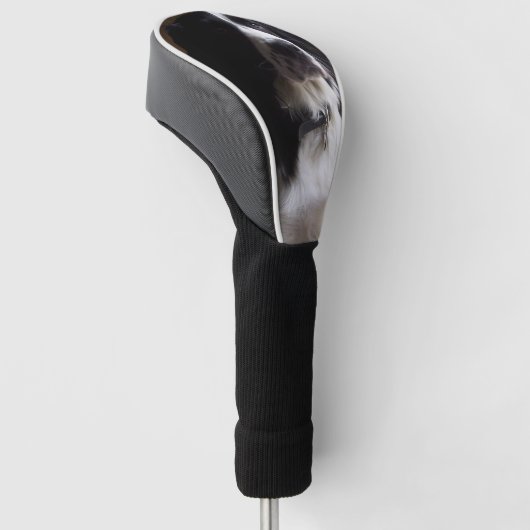 grenscollilie p2 golfheadcover (Schuin)