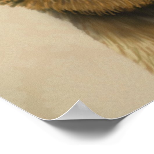 Grensdrager met Pet met rode klossen Poster (Hoek)