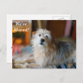 Grensdrager We hebben het nieuwe adres-Briefkaart  Aankondigingskaart (Voorkant / Achterkant)