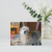 Grensdrager We hebben het nieuwe adres-Briefkaart  Aankondigingskaart (Staand voorkant)