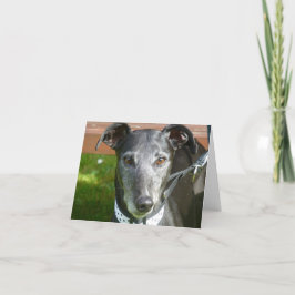 Grensfotokaart (p4) kaart