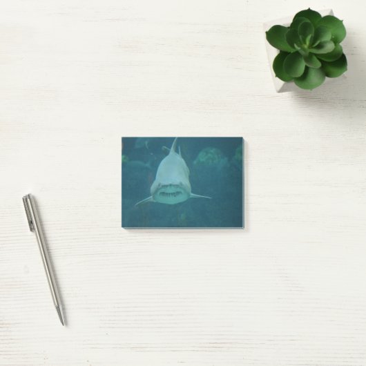 Grenshaai Post-it® Notes (Kantoor)