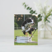 grenskolonie flyball briefkaart (Staand voorkant)