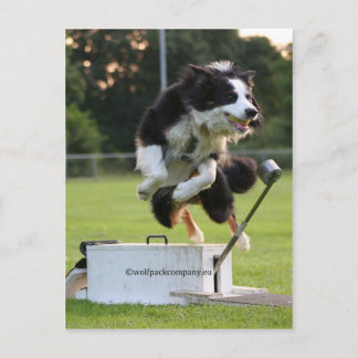 grenskolonie flyball briefkaart