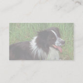 Grenskolonie in gras visitekaartje (Achterkant)