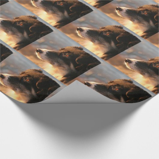 Grenskolonies Cadeaupapier (Hoek)