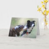 Grenskolonies Kaart (Gele Bloem)