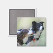 Grenskolonies Magneet (Voorkant / Achterkant)