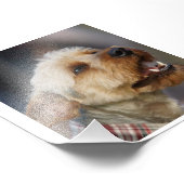 Grensoverschrijdend Foto Afdruk (Hoek)