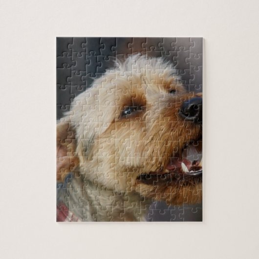 Grensoverschrijdend Legpuzzel (Verticaal)