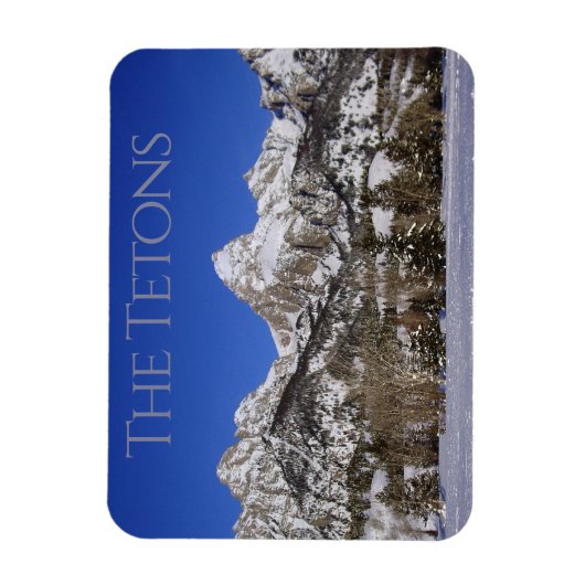 Grensoverschrijdende winter in het nationale park  magneet (Verticaal)