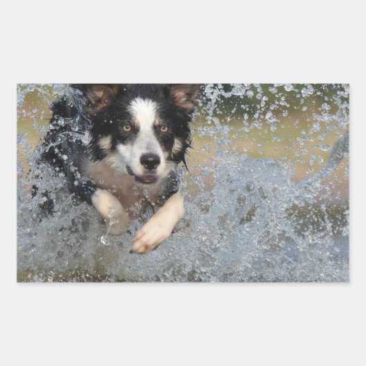 grenspoel in water rechthoekige sticker (Voorkant)