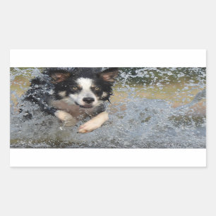 grenspoel in water rechthoekige sticker