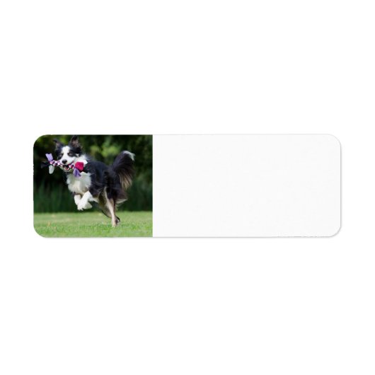 grenspoliek loopt met speelgoed etiket (Voorkant)