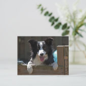 grenspolitie briefkaart (Staand voorkant)