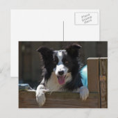 grenspolitie briefkaart (Voorkant / Achterkant)