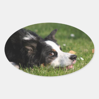 grenspolitie ovale sticker