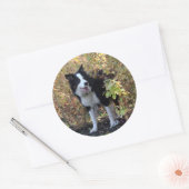 grenspolitie ronde sticker (Envelop)
